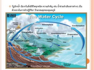  วัฏจักรน้า มีมากในสิ่งมีชีวิตทุกชนิด ความสาคัญ เช่น น้าช่วยลาเลียงสารต่างๆ เป็น
ตัวกลางในการทาปฏิกิริยา รักษาสมดุลของอุณหภูมิ
 