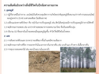 ความสัมพันธ์ระหว่างสิ่งมีชีวิตกับปัจจัยทางกายภาพ
1. อุณหภูมิ
1.1 ปฏิกิริยาเคมีในร่างกาย: เอนไซม์เป็นตัวควบคุมอัตราการเกิดโดยปกติอุณหภูมิที่เหมาะแก่การทางานของเอนไซม์
จะอยู่ระหว่าง 25-40 องศาเซลเซียส (ไม่เสียสภาพ)
1.2 เปลี่ยนแปลงทางสรีรวิทยา คือ กลไกในการปรับอุณหภูมิ เช่น สัตว์เลือดอุ่นจะมีการปรับอุณหภูมิร่างกายให้คงที่
1.3 พฤติกรรมการอพยพ เช่น นกปากห่างอพยพมาจากเขตหนาวมาไทย ซึ่งเป็นเขตที่อบอุ่น
1.4 ปริมาณ O2 ที่ละลายในน้าจะลดลงเมื่ออุณหภูมิสูงขึ้น ทาให ้สิ่งมีชีวิตในน้าลดลง
2. แสง
2.1 การสังเคราะห์ด้วยแสง (อาหาร) ของพืชมากขึ้นถ้าแสงมีความเข้มมาก
2.2 พฤติกรรมการดารงชีวิต การออกหากินในเวลากลางวัน/กลางคืน เช่น นกเค้าแมว ค้างคาว ผีเสื้อกลางคืน
2.3 การหุบบานของดอกไม้ เช่น ดอกบัวจะบานในเวลาเช้า
 