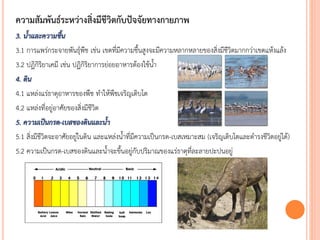 ความสัมพันธ์ระหว่างสิ่งมีชีวิตกับปัจจัยทางกายภาพ
3. น้้ำและควำมชื้น
3.1 การแพร่กระจายพันธุ์พืช เช่น เขตที่มีความชื้นสูงจะมีความหลากหลายของสิ่งมีชีวิตมากกว่าเขตแห้งแล้ง
3.2 ปฏิกิริยาเคมี เช่น ปฏิกิริยาการย่อยอาหารต้องใช้น้า
4. ดิน
4.1 แหล่งแร่ธาตุอาหารของพืช ทาให้พืชเจริญเติบโต
4.2 แหล่งที่อยู่อาศัยของสิ่งมีชีวิต
5. ควำมเป็นกรด-เบสของดินและน้้ำ
5.1 สิ่งมีชีวิตจะอาศัยอยู่ในดิน และแหล่งน้าที่มีความเป็นกรด-เบสเหมาะสม (เจริญเติบโตและดารงชีวิตอยู่ได้)
5.2 ความเป็นกรด-เบสของดินและน้าจะขึ้นอยู่กับปริมาณของแร่ธาตุที่ละลายปะปนอยู่
 