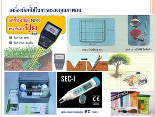 เครื่องมือที่ใช้ในการตรวจคุณภาพดิน
เครื่องวัดความเค็มดิน (EC ในดิน)
 