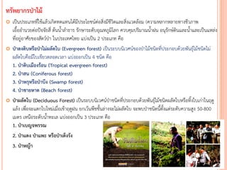ทรัพยากรป่าไม้
 เป็นประเภทที่ใช้แล้วเกิดทดแทนได้มีประโยชน์ต่อสิ่งมีชีวิตและสิ่งแวดล้อม (ความหลากหลายทางชีวภาพ
เอื้ออานวยต่อปัจจัยสี่ ต้นน้าลาธาร รักษาระดับอุณหภูมิโลก ควบคุมปริมาณน้าฝน อนุรักษ์ดินและน้าและเป็นแหล่ง
ที่อยู่อาศัยของสัตว์ป่า ในประเทศไทย แบ่งเป็น 2 ประเภท คือ
 ป่าดงดิบหรือป่าไม่ผลัดใบ (Evergreen forest) เป็นระบบนิเวศน์ของป่าไม้ชนิดที่ประกอบด้วยพันธุ์ไม้ชนิดไม่
ผลัดใบคือมีใบเขียวตลอดเวลา แบ่งออกเป็น 4 ชนิด คือ
1. ป่าดิบเมืองร้อน (Tropical evergreen forest)
2. ป่าสน (Coniferous forest)
3. ป่าพรุหรือป่าบึง (Swamp forest)
4. ป่าชายหาด (Beach forest)
 ป่าผลัดใบ (Deciduous Forest) เป็นระบบนิเวศน์ป่าชนิดที่ประกอบด้วยพันธุ์ไม้ชนิดผลัดใบหรือทิ้งใบเก่าในฤดู
แล้ง เพื่อจะแตกใบใหม่เมื่อเข้าฤดูฝน ยกเว้นพืชชั้นล่างจะไม่ผลัดใบ จะพบป่าชนิดนี้ตั้งแต่ระดับความสูง 50-800
เมตร เหนือระดับน้าทะเล แบ่งออกเป็น 3 ประเภท คือ
1. ป่าเบญจพรรณ
2. ป่าแดง ป่าแพะ หรือป่าเต็งรัง
3. ป่าหญ้า
 