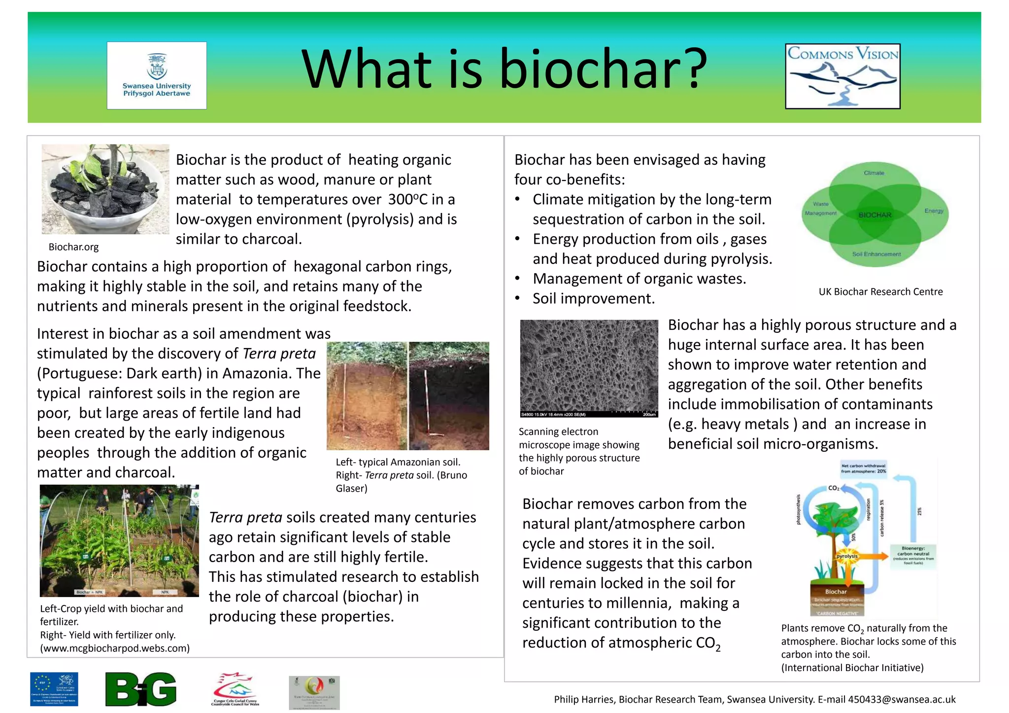 What is biochar (2) | PPTX