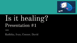 Is it healing?
Presentation #1
Radhika, Ivan, Connor, David
Logo
 
