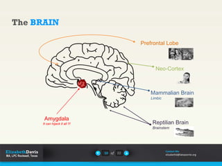 The BRAIN
10 of 22
Contact Me
elizabethd@lakepointe.org
Prefrontal Lobe
Mammalian Brain
Limbic
Reptilian Brain
Brainstem
Neo-Cortex
Amygdala
It can hijack it all !!!
 