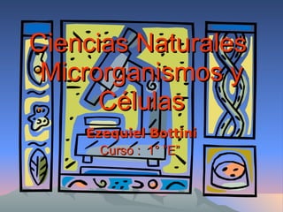Ciencias Naturales  Microrganismos y Células Ezequiel Bottini Curso :  1° ”E”  