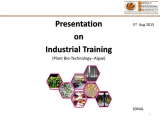 3rd Aug 2015
SONAL
(Plant Bio-Technology--Algae)
1
Presentation
on
Industrial Training
 