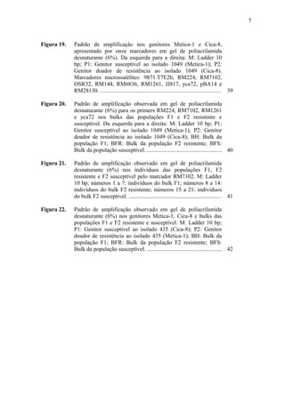 7
Figura 19. Padrão de amplificação nos genitores Metica-1 e Cica-8,
apresentado por onze marcadores em gel de poliacrilamida
desnaturante (6%). Da esquerda para a direita: M: Ladder 10
bp; P1: Genitor susceptível ao isolado 1049 (Metica-1); P2:
Genitor doador de resistência ao isolado 1049 (Cica-8).
Marcadores microssatélites: 9871.T7E2b, RM224, RM7102,
OSR32, RM144, RM6836, RM1261, JJ817, yca72, pBA14 e
RM28130. .................................................................................... 39
Figura 20. Padrão de amplificação observada em gel de poliacrilamida
desnaturante (6%) para os primers RM224, RM7102, RM1261
e yca72 nos bulks das populações F1 e F2 resistente e
susceptível. Da esquerda para a direita: M: Ladder 10 bp; P1:
Genitor susceptível ao isolado 1049 (Metica-1); P2: Genitor
doador de resistência ao isolado 1049 (Cica-8); BH: Bulk da
população F1; BFR: Bulk da população F2 resistente; BFS:
Bulk da população susceptível. .................................................... 40
Figura 21. Padrão de amplificação observado em gel de poliacrilamida
desnaturante (6%) nos indivíduos das populações F1, F2
resistente e F2 susceptível pelo marcador RM7102. M: Ladder
10 bp; números 1 a 7: indivíduos do bulk F1; números 8 a 14:
indivíduos do bulk F2 resistente; números 15 a 21: indivíduos
do bulk F2 susceptível. ................................................................ 41
Figura 22. Padrão de amplificação observado em gel de poliacrilamida
desnaturante (6%) nos genitores Metica-1, Cica-8 e bulks das
populações F1 e F2 resistente e susceptível. M: Ladder 10 bp;
P1: Genitor susceptível ao isolado 435 (Cica-8); P2: Genitor
doador de resistência ao isolado 435 (Metica-1); BH: Bulk da
população F1; BFR: Bulk da população F2 resistente; BFS:
Bulk da população susceptível. .................................................... 42
 