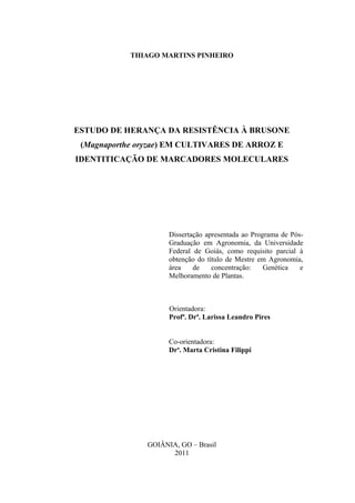 THIAGO MARTINS PINHEIRO
ESTUDO DE HERANÇA DA RESISTÊNCIA À BRUSONE
(Magnaporthe oryzae) EM CULTIVARES DE ARROZ E
IDENTITICAÇÃO DE MARCADORES MOLECULARES
Dissertação apresentada ao Programa de Pós-
Graduação em Agronomia, da Universidade
Federal de Goiás, como requisito parcial à
obtenção do título de Mestre em Agronomia,
área de concentração: Genética e
Melhoramento de Plantas.
Orientadora:
Profª. Drª. Larissa Leandro Pires
Co-orientadora:
Dra
. Marta Cristina Filippi
GOIÂNIA, GO – Brasil
2011
 