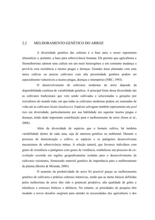 2.2 MELHORAMENTO GENÉTICO DO ARROZ
A diversidade genética das culturas é a base para o nosso suprimento
alimentício e, portanto, a base para sobrevivência humana. Ela permite que agricultores e
fitomelhoristas adotem uma cultura em um meio heterogêneo e em constante mudança e
provê-la com resistência a insetos pragas e doenças. Grandes áreas plantadas com uma
única cultivar ou poucas cultivares com alta proximidade genética podem ser
especialmente vulneráveis a insetos pragas, doenças e intempéries (NRC, 1993).
O desenvolvimento de cultivares modernas de arroz depende da
disponibilidade contínua de variabilidade genética. A principal fonte dessa diversidade são
as cultivares tradicionais que vem sendo cultivadas e selecionadas a gerações por
rizicultores do mundo todo, em que todas as cultivares modernas podem ser rastreadas de
volta até as cultivares locais (landraces). Espécies selvagens também representam um pool
rico em diversidade, particularmente por sua habilidade em suportar insetos pragas e
doenças, tendo dado importante contribuição para o melhoramento de arroz (Soon et al.,
2008).
Além da diversidade de espécies que o homem cultiva, há também
variabilidade dentro de cada uma, seja de natureza genética ou ambiental. Durante o
processo de domesticação e cultivo, as espécies e os patógenos desenvolveram
mecanismos de sobrevivência mútua. A seleção natural, que favorece indivíduos com
genes de resistência e patógenos com genes de virulência, estabeleceu um processo de co-
evolução ocorrida em regiões geograficamente isoladas para o desenvolvimento de
cultivares resistentes, fornecendo material genético de importância para o melhoramento
de plantas (Borém & Miranda, 2005).
O aumento da produtividade do arroz foi possível graças ao melhoramento
genético de cultivares e práticas culturais intensivas, sendo que as metas básicas definidas
pelos melhoristas de arroz têm sido o potencial produtivo, alta qualidade de grãos e
tolerância a estresses bióticos e abióticos. No entanto, as prioridades de pesquisa têm
mudado e novos desafios surgiram para atender às necessidades dos agricultores e dos
 