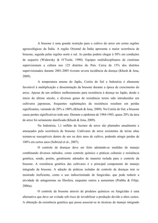 A brusone é uma grande restrição para o cultivo do arroz em certas regiões
agroecológicas da Índia. A região Oriental da Índia apresenta a maior ocorrência de
brusone, seguida pelas regiões norte e sul. As perdas podem chegar à 50% em condições
de sequeiro (Widawsky & O’Toole, 1990). Equipes multidisciplinares de cientistas
supervisionam a cultura nos 125 distritos do País. Cerca de 15% dos distritos
supervisionados durante 2001-2005 tiveram severa incidência da doença (Khush & Jena,
2009).
A temperatura amena do Japão, Coréia do Sul e Indonésia é altamente
favorável à multiplicação e disseminação da brusone durante a época de crescimento do
arroz. Apesar de um enfático melhoramento para resistência à doença no Japão, desde o
início do último século, e diversos genes de resistência terem sido introduzidos em
cultivares japonesas, frequentes suplantações da resistência resultam em perdas
significantes, variando de 20% a 100% (Khush & Jena, 2009). Na Coréia do Sul, a brusone
causa perdas significativas todo ano. Durante a epidemia de 1984-1985, quase 20% da área
de arroz foi seriamente danificada (Khush & Jena, 2009).
Na Indonésia, 1,1 milhão de hectare de arroz são plantados anualmente e
ameaçados pela ocorrência de brusone. Cultivares de arroz resistentes de terras altas
tornam-se susceptíveis dentro de um ou dois anos de cultivo, podendo atingir perdas de
100% em certos anos (Sobrizal et al., 2007).
O controle de doenças deve ser feito adotando-se medidas de manejo
combinando diversos métodos, como controle químico e práticas culturais e resistência
genética, sendo, porém, geralmente adotados de maneira isolada para o controle da
brusone. A resistência genética das cultivares é o principal componente do manejo
integrado da brusone. A adoção de práticas isoladas de controle de doenças tem se
mostrado ineficiente, como o uso indiscriminado de fungicidas, que pode reduzir a
atividade de antagonistas na filosfera, enquanto outros a aumentam (Prabhu & Filipi,
2006a).
O controle da brusone através de produtos químicos ou fungicidas é uma
alternativa que deve ser evitada sob risco de inviabilizar a produção devido a altos custos.
A obtenção da resistência genética que possa associar-se às técnicas de manejo integrado
 