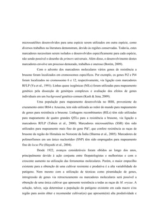 microssatélites desenvolvidos para uma espécie serem utilizados em outra espécie, como
diversos trabalhos na literatura demonstram, devido às regiões conservadas. Todavia, estes
marcadores necessitam serem isolados e desenvolvidos especificamente para cada espécie,
não sendo possível o desenho de primers universais. Além disso, o desenvolvimento destes
marcadores envolve um processo demorado, trabalhos e oneroso (Borém, 2009).
Com o advento dos marcadores moleculares vários genes de resistência a
brusone foram localizados em cromossomos específicos. Por exemplo, os genes Pi2 e Pi4
foram localizados no cromossomo 6 e 12, respectivamente, via ligação com marcadores
RFLP (Yu et al., 1991). Linhas quase isogênicas (NILs) foram utilizadas para mapeamento
genético pela dissecção de genótipos complexos e avaliação dos efeitos de genes
individuais em um background genético comum (Kush & Jena, 2009).
Uma população para mapeamento desenvolvida no IRRI, proveniente do
cruzamento entre IR64 e Azucena, tem sido utilizada ao redor do mundo para mapeamento
de genes para resistência a brusone. Linhagens recombinantes (RILs) têm sido utilizadas
para mapeamento de quatro grandes QTLs para a resistência a brusone, via ligação a
marcadores RFLP (Tabien et al., 2000). Marcadores microssatélites (SSR) têm sido
utilizados para mapeamento mais fino do gene Pikh
, que confere resistência as raças de
brusone da região do Himalaia no Noroeste da Índia (Sharma et al., 2005). Marcadores de
polimorfismos em um único nucleotídeo (SNP) têm sido empregados para mapeamento
fino do locus Piz (Hayashi et al., 2004).
Desde 1922, avanços consideráveis foram obtidos ao longo dos anos,
principalmente devido à ação conjunta entre fitopatologistas e melhoristas e com o
crescente aumento na utilização das ferramentas moleculares. Porém, o maior empecilho
existente para a obtenção de uma cultivar resistente e produtiva é a alta variabilidade do
patógeno. Nem mesmo com a utilização de técnicas como piramidação de genes,
introgressão de genes via retrocruzamento ou marcadores moleculares será possível a
obtenção de uma única cultivar que apresente resistência a todas as raças de M. oryzae. A
solução, talvez, seja determinar a população do patógeno existente em cada macro e/ou
região para assim obter e recomendar cultivar(es) que apresente(m) alta produtividade e
 