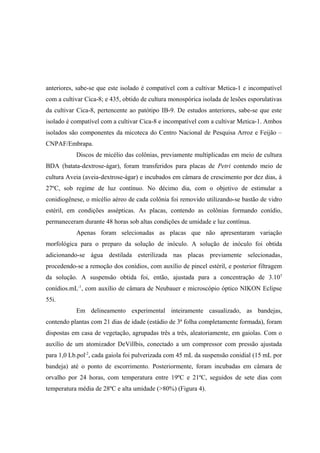 anteriores, sabe-se que este isolado é compatível com a cultivar Metica-1 e incompatível
com a cultivar Cica-8; e 435, obtido de cultura monospórica isolada de lesões esporulativas
da cultivar Cica-8, pertencente ao patótipo IB-9. De estudos anteriores, sabe-se que este
isolado é compatível com a cultivar Cica-8 e incompatível com a cultivar Metica-1. Ambos
isolados são componentes da micoteca do Centro Nacional de Pesquisa Arroz e Feijão –
CNPAF/Embrapa.
Discos de micélio das colônias, previamente multiplicadas em meio de cultura
BDA (batata-dextrose-ágar), foram transferidos para placas de Petri contendo meio de
cultura Aveia (aveia-dextrose-ágar) e incubados em câmara de crescimento por dez dias, à
27ºC, sob regime de luz contínuo. No décimo dia, com o objetivo de estimular a
conidiogênese, o micélio aéreo de cada colônia foi removido utilizando-se bastão de vidro
estéril, em condições assépticas. As placas, contendo as colônias formando conídio,
permaneceram durante 48 horas sob altas condições de umidade e luz contínua.
Apenas foram selecionadas as placas que não apresentaram variação
morfológica para o preparo da solução de inóculo. A solução de inóculo foi obtida
adicionando-se água destilada esterilizada nas placas previamente selecionadas,
procedendo-se a remoção dos conídios, com auxílio de pincel estéril, e posterior filtragem
da solução. A suspensão obtida foi, então, ajustada para a concentração de 3.105
conídios.mL-1
, com auxílio de câmara de Neubauer e microscópio óptico NIKON Eclipse
55i.
Em delineamento experimental inteiramente casualizado, as bandejas,
contendo plantas com 21 dias de idade (estádio de 3ª folha completamente formada), foram
dispostas em casa de vegetação, agrupadas três a três, aleatoriamente, em gaiolas. Com o
auxílio de um atomizador DeVillbis, conectado a um compressor com pressão ajustada
para 1,0 Lb.pol-2
, cada gaiola foi pulverizada com 45 mL da suspensão conidial (15 mL por
bandeja) até o ponto de escorrimento. Posteriormente, foram incubadas em câmara de
orvalho por 24 horas, com temperatura entre 19ºC e 21ºC, seguidos de sete dias com
temperatura média de 28ºC e alta umidade (>80%) (Figura 4).
 