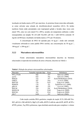 incubação em banho-maria a 65ºC por uma hora. As proteínas foram removidas utilizando-
se como solvente uma solução de clorofórmio-álcool isoamílico (24:1). Os ácidos
nucléicos foram então precipitados com isopropanol gelado e lavados duas vezes com
etanol 70%, uma vez com etanol P.A. (98%), secados em temperatura ambiente e então
ressuspendidos em tampão TE (10 mM Tris-HCl, pH 8,0; 1 mM EDTA) contendo 10
mg/mL de RNAase e incubados em banho-maria a 37ºC por 30 minutos.
A concentração de DNA foi ajustada para 10 ng.µL-1
, tendo sido estimada
visualmente utilizando-se como padrão DNA lambda, nas concentrações de 50 ng.µL-1
,
100 ng.µL-1
e 200 ng.µL-1
.
3.2.2 Marcadores microssatélites
Foram selecionados marcadores microssatélites descritos na literatura
relacionados à expressão da resistência de arroz a brusone, descritos na Tabela 1.
Tabela 1. Relação dos primers microssatélites selecionados.
Marcador Tamanho esperado (bp) Gene Referência
9871.T7E2b 642 Pi5 Suh et al. (2009)
yca72 635 Pia Suh et al. (2009)
RM224 122 Pi1 Jia & Moldenhauer (2010)
OSR32 247 Pita Li et al. (2008)
RM7102 170 Pi41 Yang et al. (2009)
RM6836 178 Piz Fjellstrom et al. (2006)
pBA14 480 Pi9 Liu et al. (2002)
RM144 254 Piks
Jia & Moldenhauer (2010)
RM28130 176 Pi40 Yang et al. (2009)
RM1261 167 Pi41 Yang et al. (2009)
JJ817 1450 Pi5 Suh et al. (2009)
Cada reação continha DNA genômico, tampão de reação 10 X (100 mM Tris-
HCl, pH 8,8 e 500 mM KCl), MgCl2 (25 mM), dNTP (2 mM de cada dATP, dGTP, dCTP e
dTTP), primer, Taq DNA polimerase, água destilada autoclavada para completar o volume
 