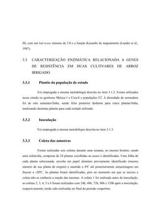 III, com um lod score mínimo de 3.0 e a função Kosambi de mapeamento (Lander et al.,
1987).
3.3 CARACTERIZAÇÃO ENZIMÁTICA RELACIONADA A GENES
DE RESISTÊNCIA EM DUAS CULTIVARES DE ARROZ
IRRIGADO
3.3.1 Plantio da população de estudo
Foi empregada a mesma metodologia descrita no item 3.1.2. Foram utilizados
nesse estudo os genitores Metica-1 e Cica-8 e populações F2. A densidade de semeadura
foi de oito sementes/linha, sendo feito posterior desbaste para cinco plantas/linha,
totalizando duzentas plantas para cada isolado utilizado.
3.3.2 Inoculação
Foi empregada a mesma metodologia descrita no item 3.1.3.
3.3.3 Coleta das amostras
Foram realizadas seis coletas durante uma semana, no mesmo horário, sendo
uma coleta/dia, composta de 24 plantas escolhidas ao acaso e identificadas. Uma folha de
cada planta selecionada, envolta em papel alumínio previamente identificado (mesmo
número de sua planta de origem) e mantida a 4ºC até posteriormente armazenagem em
freezer a -20ºC. As plantas foram identificadas, pois no momento em que se iniciou a
coleta não se conhecia a reação das mesmas. A coleta 1 foi realizada antes da inoculação;
as coletas 2, 3, 4, 5 e 6 foram realizadas com 24h, 48h, 72h, 96h e 120h após a inoculação,
respectivamente, tendo sido realizadas no final do período vespertino.
 