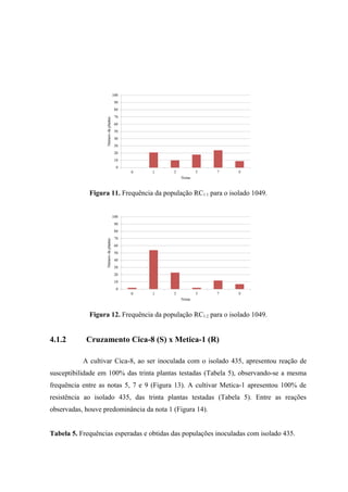 Figura 11. Frequência da população RC1:1 para o isolado 1049.
Figura 12. Frequência da população RC1:2 para o isolado 1049.
4.1.2 Cruzamento Cica-8 (S) x Metica-1 (R)
A cultivar Cica-8, ao ser inoculada com o isolado 435, apresentou reação de
susceptibilidade em 100% das trinta plantas testadas (Tabela 5), observando-se a mesma
frequência entre as notas 5, 7 e 9 (Figura 13). A cultivar Metica-1 apresentou 100% de
resistência ao isolado 435, das trinta plantas testadas (Tabela 5). Entre as reações
observadas, houve predominância da nota 1 (Figura 14).
Tabela 5. Frequências esperadas e obtidas das populações inoculadas com isolado 435.
 