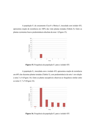 A população F1 do cruzamento Cica-8 x Metica-1, inoculada com isolado 435,
apresentou reação de resistência em 100% das vinte plantas testadas (Tabela 5). Entre as
plantas resistentes houve predominância absoluta da nota 1 (Figura 15).
Figura 15. Frequência da população F1 para o isolado 435.
A população F2, inoculada com o isolado 435, apresentou reação de resistência
em 68% das duzentas plantas testadas (Tabela 5), com predominância da nota 1 em relação
a nota 3 e 0 (Figura 16). Entre as planta susceptíveis observou-se frequência similar entre
as notas 5, 7 e 9 (Figura 16).
Figura 16. Frequência da população F2 para o isolado 435.
 