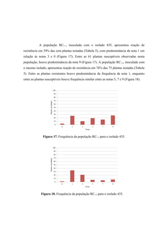 A população RC1:1, inoculada com o isolado 435, apresentou reação de
resistência em 39% das cem plantas testadas (Tabela 5), com predominância da nota 1 em
relação às notas 3 e 0 (Figura 17). Entre as 61 plantas susceptíveis observadas nesta
população, houve predominância da nota 9 (Figura 17). A população RC1:2, inoculada com
o mesmo isolado, apresentou reação de resistência em 76% das 75 plantas testadas (Tabela
5). Entre as plantas resistentes houve predominância da frequência da nota 1, enquanto
entre as plantas susceptíveis houve frequência similar entre as notas 5, 7 e 9 (Figura 18).
Figura 17. Frequência da população RC1:1 para o isolado 435.
Figura 18. Frequência da população RC1:2 para o isolado 435.
 