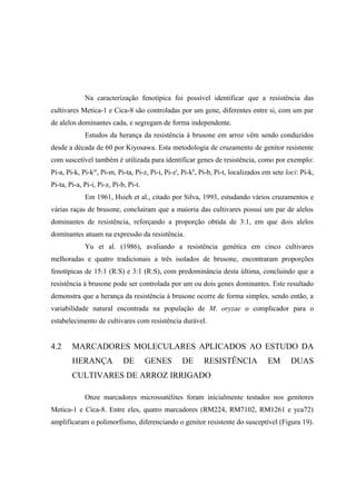 Na caracterização fenotípica foi possível identificar que a resistência das
cultivares Metica-1 e Cica-8 são controladas por um gene, diferentes entre si, com um par
de alelos dominantes cada, e segregam de forma independente.
Estudos da herança da resistência à brusone em arroz vêm sendo conduzidos
desde a década de 60 por Kiyosawa. Esta metodologia de cruzamento de genitor resistente
com suscetível também é utilizada para identificar genes de resistência, como por exemplo:
Pi-a, Pi-k, Pi-km
, Pi-m, Pi-ta, Pi-z, Pi-i, Pi-zt
, Pi-kh
, Pi-b, Pi-t, localizados em sete loci: Pi-k,
Pi-ta, Pi-a, Pi-i, Pi-z, Pi-b, Pi-t.
Em 1961, Hsieh et al., citado por Silva, 1993, estudando vários cruzamentos e
várias raças de brusone, concluíram que a maioria das cultivares possui um par de alelos
dominantes de resistência, reforçando a proporção obtida de 3:1, em que dois alelos
dominantes atuam na expressão da resistência.
Yu et al. (1986), avaliando a resistência genética em cinco cultivares
melhoradas e quatro tradicionais a três isolados de brusone, encontraram proporções
fenotípicas de 15:1 (R:S) e 3:1 (R:S), com predominância desta última, concluindo que a
resistência à brusone pode ser controlada por um ou dois genes dominantes. Este resultado
demonstra que a herança da resistência à brusone ocorre de forma simples, sendo então, a
variabilidade natural encontrada na população de M. oryzae o complicador para o
estabelecimento de cultivares com resistência durável.
4.2 MARCADORES MOLECULARES APLICADOS AO ESTUDO DA
HERANÇA DE GENES DE RESISTÊNCIA EM DUAS
CULTIVARES DE ARROZ IRRIGADO
Onze marcadores microssatélites foram inicialmente testados nos genitores
Metica-1 e Cica-8. Entre eles, quatro marcadores (RM224, RM7102, RM1261 e yca72)
amplificaram o polimorfismo, diferenciando o genitor resistente do susceptível (Figura 19).
 