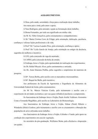 1
AGRADECIMENTOS
À Deus, pela saúde, serenidade e força para a realização deste trabalho;
Aos meus pais e irmã, pelo amor e apoio;
À Nara Rodrigues, pela amizade e ajuda na formatação deste trabalho;
À Bruna Fernandes, por todo seu significado em minha vida;
Ao M. Sc. Fábio Gonçalves, pelos ensinamentos e companheirismo;
À Dr.ª Marta Cristina Corsi de Filippi, pela orientação, dedicação, paciência,
confiança e valiosas lições profissionais e de vida;
À Prof.ª Dr.ª Larissa Leandro Pires, pela orientação, confiança e apoio;
À Prof.ª Dr.ª Leila Garcês de Araújo, pela orientação no estágio de docência,
sugestões de melhoria e incentivo;
À UFG, pela concessão da vaga de mestrado;
À CAPES, pela concessão da bolsa de estudo;
À Embrapa Arroz e Feijão, pela oportunidade de realização dos experimentos;
Ao Dr. Rafael Moysés Alves, pelos ensinamentos e amizade;
Ao Dr. Anne Sitarama Prabhu, pelas sugestões e empréstimo de materiais de
pesquisa;
À Drª. Tereza Borba, pelo auxílio com os marcadores microssatélites;
À Drª. Raquel de Mello, pelo incentivo;
Aos professores da Escola de Agronomia e Engenharia de Alimentos da
Universidade Federal de Goiás, pelos ensinamentos;
Ao M. Sc. Márcio Vinícius Cortês, pelo treinamento e auxílio com o
experimento de atividade enzimática e por sua quase infindável paciência e compreensão;
Às funcionárias da Embrapa Arroz e Feijão, Paula Arielle Valdisser, Gesimária
Costa e Fernanda Magalhães, pelo auxílio no Laboratório de Biotecnologia;
Aos funcionários da Embrapa Arroz e Feijão, Edmar (Nenê) Ribeiro e
Wanderlei (Delei) Cardoso, pelo treinamento e auxílio com os cruzamentos e obtenção das
populações de arroz utilizadas neste trabalho;
Aos funcionários da Embrapa Arroz e Feijão, Celsinho e Vando, pelo apoio na
condução dos experimentos em casa de vegetação;
Ao secretário da pós-graduação, Wellinton Motta, pela eficiência e disposição
em ajudar;
 