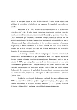tentativa de defesa das plantas ao longo do tempo foi mais evidente quando comparada à
atividade de peroxidase, principalmente na população F2 suscetível, para ambos os
isolados.
Guimarães et al. (2009) encontraram diferenças estatísticas na atividade de
peroxidase aos 7, 14 e 21 dias quando comparadas testemunhas inoculadas com não
inoculadas, mas não encontraram diferenças na atividade de β-1,3-glucanase. Nojosa et al.
(2002) observaram que o complexo de enzimas do tipo peroxidases avaliadas em sua
atividade total não tem correlação com a resistência de cacau à vassoura-de-bruxa, porém
relatam ser possível que existam isoenzimas do tipo peroxidases que atuem isoladamente
no processo de defesa constitutiva ou na defesa induzida em cacau. Estes resultados
indicam que a maior ou menor atividade das enzimas peroxidase e β-1,3-glucanase
dependem do patossistema em estudo.
Acredita-se que proteínas relacionadas à patogênese estão mais relacionadas à
severidade do sintoma expresso do que à resistência em si. Esta hipótese decorre de
diversos estudos realizados em diferentes patossistemas. Especula-se, também, que a
indução de PRP’s que acompanham a expressão do sintoma apresenta-se como uma
“última barreira” protetora frente à completa destruição das plantas estressadas tanto por
restrições internas quanto por ambientais. A autora explica, ainda, que alguns aspectos
fundamentais dos mecanismos de regulação já foram elucidados, outros, entretanto, ainda
são pouco conhecidos, tornando-se desafios para os estudos fundamentais e aplicados
(Edreva, 2005).
Evidências experimentais fundamentam a utilidade dos genes codificadores de
PRP’s em desenvolver resistência genética em plantas transgênicas. Estes genes estão
também relacionados à resistência sistêmica adquirida (SAR – Systemic Acquired
Resistance) (Edreva, 2005), ampliando as possibilidades de uso destes genes.
 