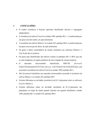 5 CONCLUSÕES
• O caráter resistência à brusone apresenta distribuição discreta e segregação
independente;
• A resistência da cultivar Cica-8 ao isolado 1049, patótipo IB-1, é condicionada por
um gene com dois alelos, de ação dominante;
• A resistência da cultivar Metica-1 ao isolado 435, patótipo IB-9, é condicionada por
um gene com um par de alelos, de ação dominante;
• Os genes e alelos controladores do caráter resistência nas cultivares Metica-1 e
Cica-8 não são os mesmos;
• Os genes aqui identificados são efetivos contras os patótipos IB-1 e IB-9, que são
os mais freqüentes na região produtora de arroz irrigado de várzeas tropicais.
• O marcador microssatélite identificado, RM7102 (Forward:
CGGCTTGAGAGCGTTTTTAG; Reverse: TACTTGGTTACTCGGGTCGG), está
associado à resistência da cultivar Cica-8 ao isolado 1049, patótipo IB-1;
• Não foi possível identificar um marcador microssatélite associado à resistência da
cultivar Metica-1 ao isolado 435, patótipo IB-9.
• Existem diferenças na atividade constitutiva de β-1,3-glucanase entre as cultivares
Cica-8 e Metica-1;
• Existem diferenças claras na atividade enzimática de β-1,3-glucanase das
populações ao longo do tempo quando expostas aos agentes desafiantes, isolado
1049, patótipo IB-1 e isolado 435, patótipo IB-9;
 