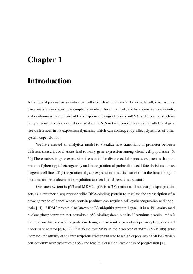 Mtech xtreme ballistic picture