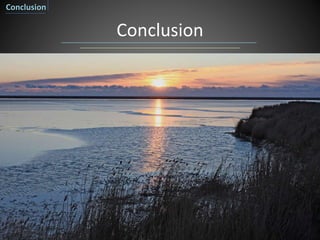 Conclusion
Conclusion
 