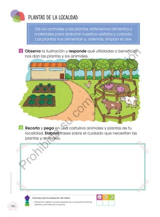 Prohibida
su
reproducción
106
Observa la ilustración y responde qué utilidades o beneficios
nos dan las plantas y los animales.
2
1
plantas de la localidad
De los animales y las plantas obtenemos alimentos y
materiales para elaborar nuestros vestidos y calzado.
Las plantas nos alimentan y, además, limpian el aire.
Recorta y pega en una cartulina animales y plantas de tu
localidad. Elabora frases sobre el cuidado que necesitan las
plantas y animales.
Indicador para la evaluación del criterio:
• Discrimina, desde su propia experiencia, la importancia de las
plantas y animales de su entorno.
P
r
o
h
i
b
i
d
a
s
u
c
o
m
e
r
c
i
a
l
i
z
a
c
i
ó
n
 