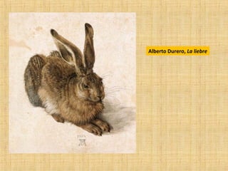Alberto Durero, La liebre
 
