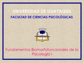 UNIVERSIDAD DE GUAYAQUIL   FACULTAD DE CIENCIAS PSICOLÓGICAS   Fundamentos Biomorfofuncionales de la Psicología I 