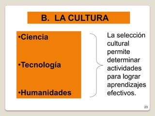 23
B. LA CULTURA
•Ciencia
•Tecnología
•Humanidades
La selección
cultural
permite
determinar
actividades
para lograr
aprendizajes
efectivos.
 