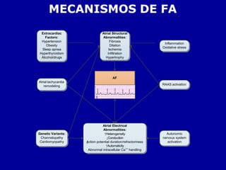 MECANISMOS DE FA
Extracardiac
Factors:
Hypertension
Obesity
Sleep apnea
Hyperthyroidism
Alcohol/drugs
Atrial Structural
Abnormalities:
Fibrosis
Dilation
Ischemia
Infiltration
Hypertrophy
Inflammation
Oxidative stress
Atrial tachycardia
remodeling
Genetic Variants:
Channelopathy
Cardiomyopathy
RAAS activation
Autonomic
nervous system
activation
Atrial Electrical
Abnormalities:
↑Heterogeneity
↓Conduction
↓
Action potential duration/refractoriness
↑Automaticity
Abnormal intracellular Ca++
handling
AF
 