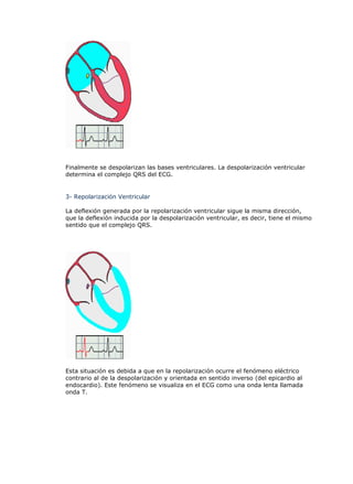 Finalmente se despolarizan las bases ventriculares. La despolarización ventricular
determina el complejo QRS del ECG.
3- Repolarización Ventricular
La deflexión generada por la repolarización ventricular sigue la misma dirección,
que la deflexión inducida por la despolarización ventricular, es decir, tiene el mismo
sentido que el complejo QRS.
Esta situación es debida a que en la repolarización ocurre el fenómeno eléctrico
contrario al de la despolarización y orientada en sentido inverso (del epicardio al
endocardio). Este fenómeno se visualiza en el ECG como una onda lenta llamada
onda T.
 