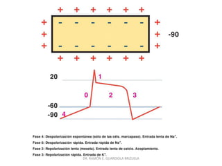 DR. RAMÓN E. GUARDIOLA BRIZUELA
 