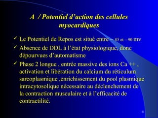 A / Potentiel d’action des cellules
myocardiques




Le Potentiel de Repos est situé entre – 85 et – 90 mv
Absence de DDL à l’état physiologique, donc
dépourvues d’automatisme
Phase 2 longue , entrée massive des ions Ca ++ ,
activation et libération du calcium du réticulum
sarcoplasmique ,enrichissement du pool plasmique
intracytosolique nécessaire au déclenchement de
la contraction musculaire et à l’efficacité de
contractilité.
11

 