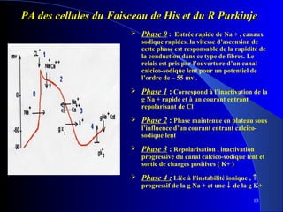 PA des cellules du Faisceau de His et du R Purkinje


Phase 0 : Entrée rapide de Na + , canaux

sodique rapides, la vitesse d’ascension de
cette phase est responsable de la rapidité de
la conduction dans ce type de fibres. Le
relais est pris par l’ouverture d’un canal
calcico-sodique lent pour un potentiel de
l’ordre de – 55 mv .


Phase 1 : Correspond à l’inactivation de la
g Na + rapide et à un courant entrant
repolarisant de Cl –



Phase 2 : Phase maintenue en plateau sous
l’influence d’un courant entrant calcicosodique lent



Phase 3 : Repolarisation , inactivation

progressive du canal calcico-sodique lent et
sortie de charges positives ( K+ )


Phase 4 : Liée à l’instabilité ionique , ↑

progressif de la g Na + et une ↓ de la g K+
13

 