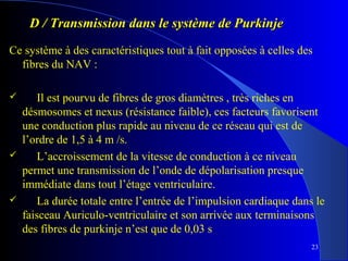 D / Transmission dans le système de Purkinje 
Ce système à des caractéristiques tout à fait opposées à celles des
fibres du NAV :






Il est pourvu de fibres de gros diamètres , très riches en
désmosomes et nexus (résistance faible), ces facteurs favorisent
une conduction plus rapide au niveau de ce réseau qui est de
l’ordre de 1,5 à 4 m /s.
L’accroissement de la vitesse de conduction à ce niveau
permet une transmission de l’onde de dépolarisation presque
immédiate dans tout l’étage ventriculaire.
La durée totale entre l’entrée de l’impulsion cardiaque dans le
faisceau Auriculo-ventriculaire et son arrivée aux terminaisons
des fibres de purkinje n’est que de 0,03 s
23

 