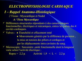 ELECTROPHYSIOLOGIE CARDIAQUE
I – Rappel Anatomo-Histologique






2 Tissus : Myocardique et Nodal
A / Tissu Myocardique
Différences structurales répondants à des caractéristiques
fonctionnelles, électriques et mécaniques, entres les parois des 4
cavités cardiaques.
Valves : ♦ Étanchéité et effacement total
♦ Mouvements générés par la différence de pression ,
la mise en tension des piliers et cordages et
par les déplacements intra cavitaire du sang.
Microscopie : Sarcomère ,unité fonctionnelle dont la longueur
varie selon l’activité électrique ;
Repos = 2,2 µ
Activité 1,9 < L < 2,2 µ
3

 