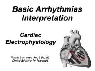 Basic Arrhythmias Interpretation Cardiac Electrophysiology Natalie Bermudez, RN, BSN, MS Clinical Educator for Telemetry 