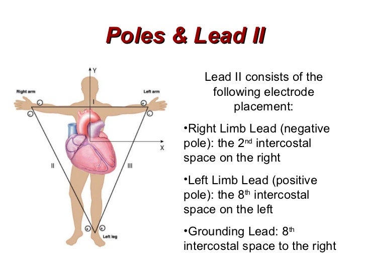 Cardiac Electrophysiology