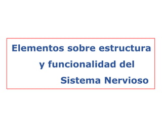 Elementos sobre estructura
y funcionalidad del
Sistema Nervioso
 