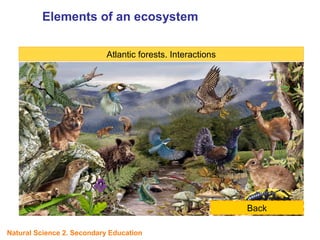 Atlantic forests. Interactions
Back
Elements of an ecosystem
UNIT
5
Natural Science 2. Secondary Education
 