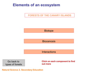 FORESTS OF THE CANARY ISLANDS
Biotope
Biocenosis
Interactions
Click on each component to find
out more
Elements of an ecosystem
UNIT
5
Go back to
types of forests
Natural Science 2. Secondary Education
 