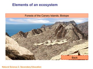 Forests of the Canary Islands. Biotope
Back
Elements of an ecosystem
UNIT
5
Natural Science 2. Secondary Education
 