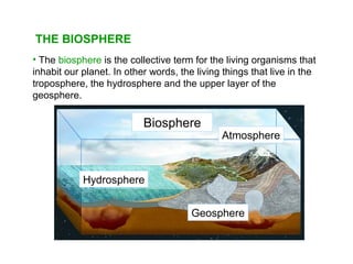 THE BIOSPHERE
• The biosphere is the collective term for the living organisms that
inhabit our planet. In other words, the living things that live in the
troposphere, the hydrosphere and the upper layer of the
geosphere.
Biosphere
Atmosphere
Hydrosphere
Geosphere
 