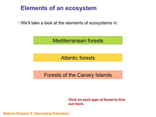 Elements of an ecosystem
Mediterranean forests
Atlantic forests
Forests of the Canary Islands
UNIT
5
• We’ll take a look at the elements of ecosystems in:
Click on each type of forest to find
out more.
Natural Science 2. Secondary Education
 