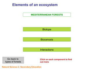 MEDITERRANEAN FORESTS
Biotope
Biocenosis
Interactions
Go back to
types of forests
UNIDAD
5
Click on each component to find
out more
Elements of an ecosystem
UNIT
5
Natural Science 2. Secondary Education
 