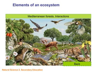 Mediterranean forests. Interactions
Back
Elements of an ecosystem
UNIT
5
Natural Science 2. Secondary Education
 