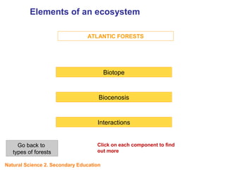 ATLANTIC FORESTS
Biotope
Biocenosis
Interactions
Click on each component to find
out more
Elements of an ecosystem
UNIT
5
Go back to
types of forests
Natural Science 2. Secondary Education
 