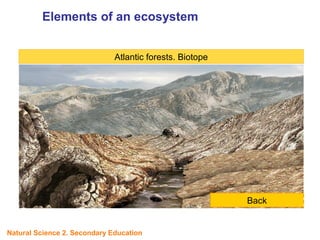 Atlantic forests. Biotope
Back
Elements of an ecosystem
UNIT
5
Natural Science 2. Secondary Education
 